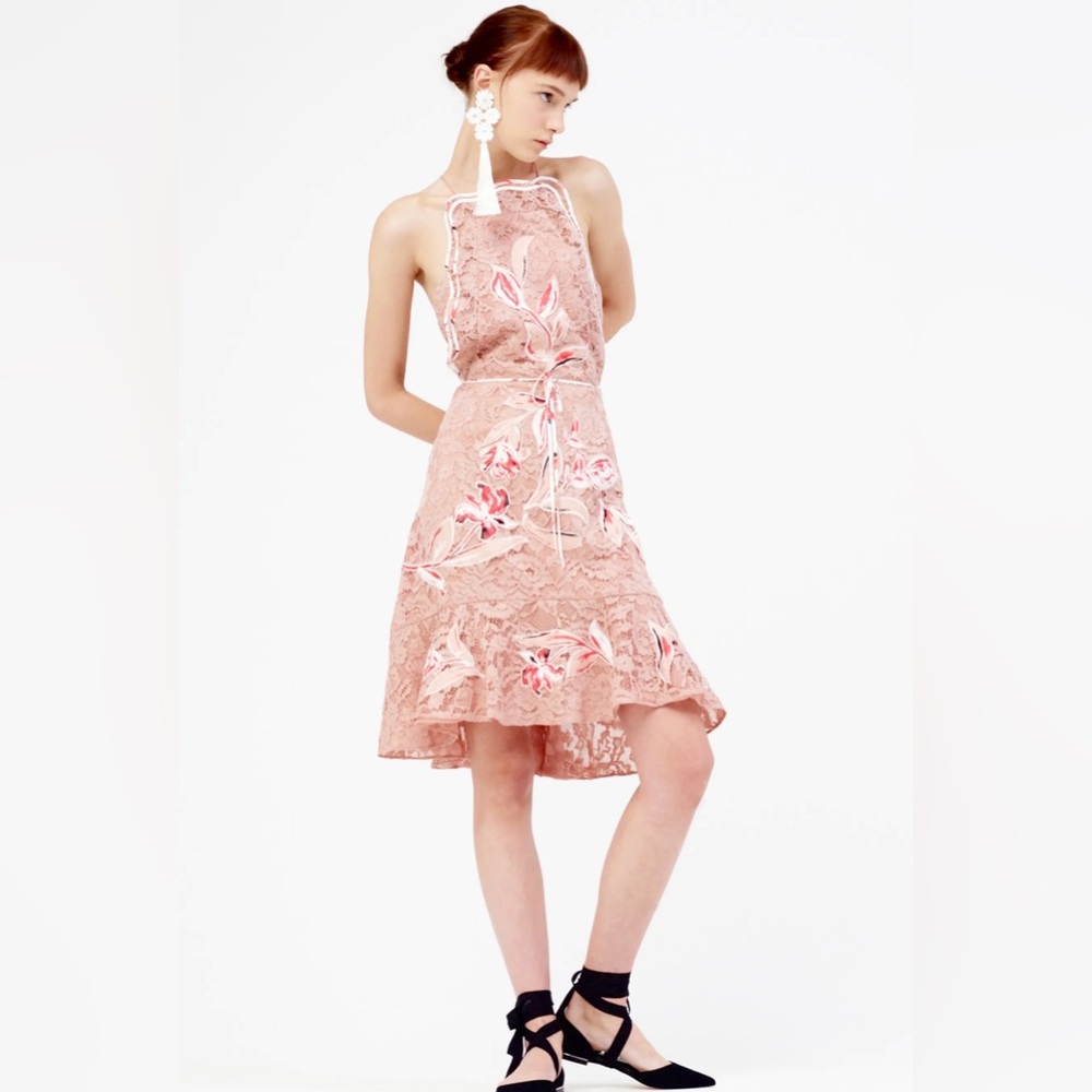 Sachin & Babi Spring 2017 Ready to Wear Romantic Ballet
Pink Floral & Lace Dress